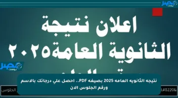نتيجة الثانوية العامة 2025 بصيغة PDF.. احصل على درجاتك بالاسم ورقم الجلوس الآن